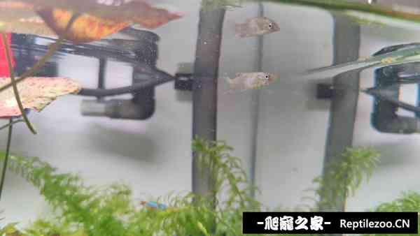 123739h9b9chbu1tstcaap.jpg