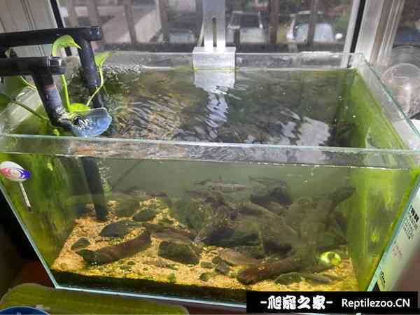 124050a3m3vdamt8tzm2xn.jpg