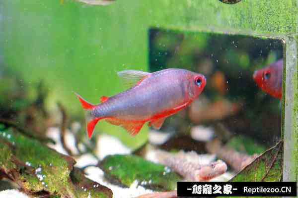 125333zfipix6jx06w3wfn.jpg