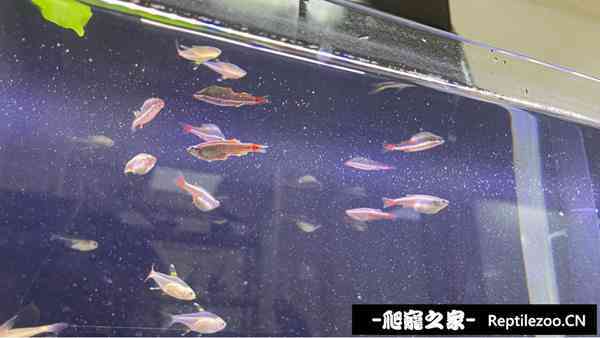 125514u3vv5w2zxot5g85o.jpg