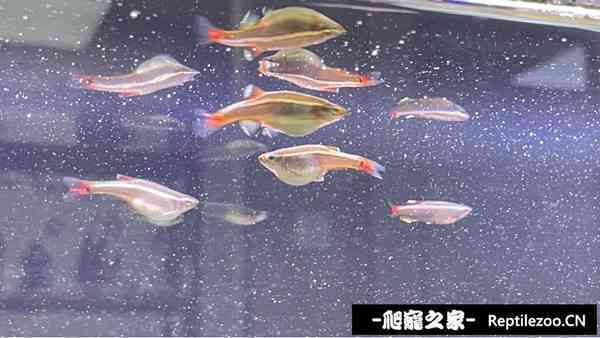 125515ddy5ppc56ifx4xoa.jpg