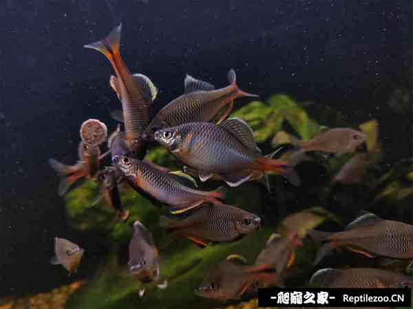 125856ggwiratgf6ofi7wg.jpg