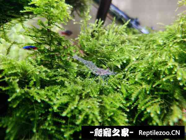 125954lk0izmuuugu07002.jpg