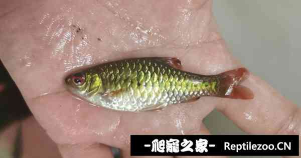 130106gdofzo8rjdj658e6.jpg