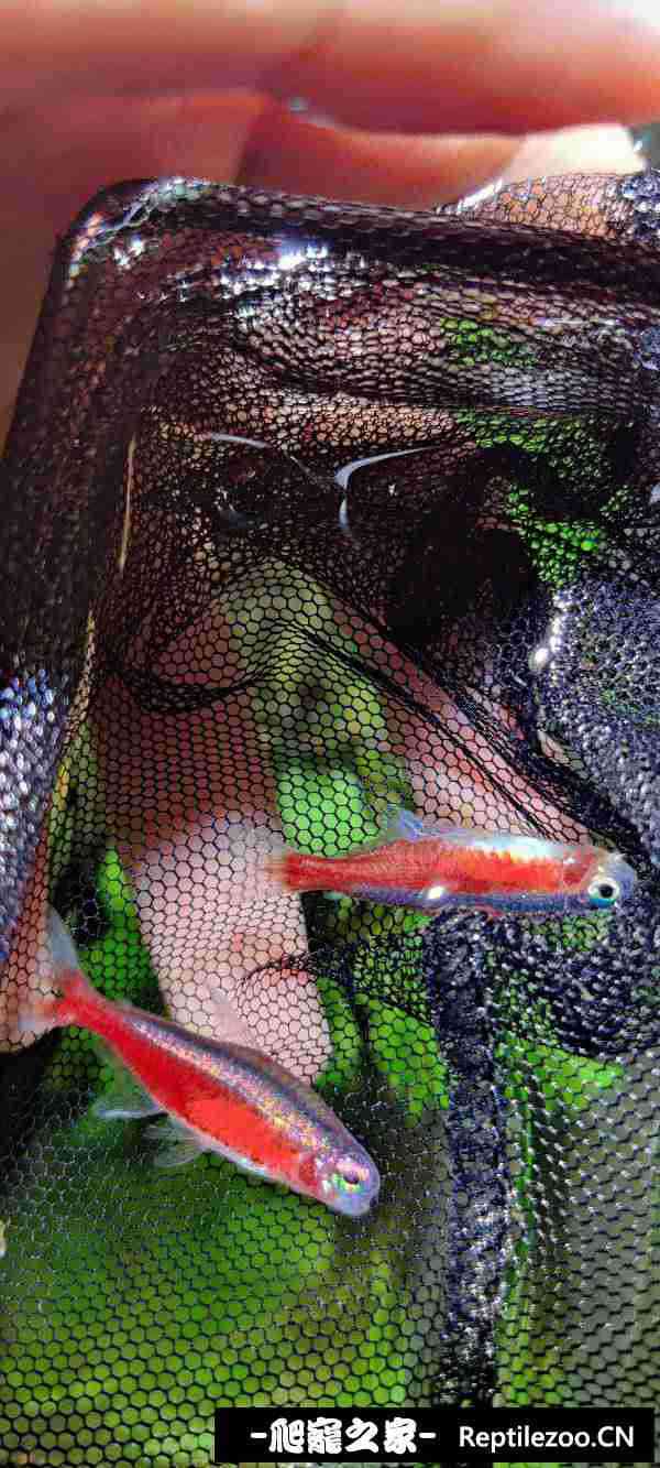 130129ck4qbu824dm43kj8.jpg