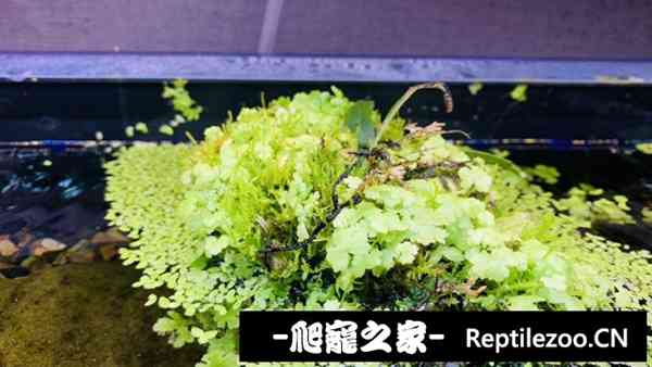 130153dlio599oti1pg955.jpg