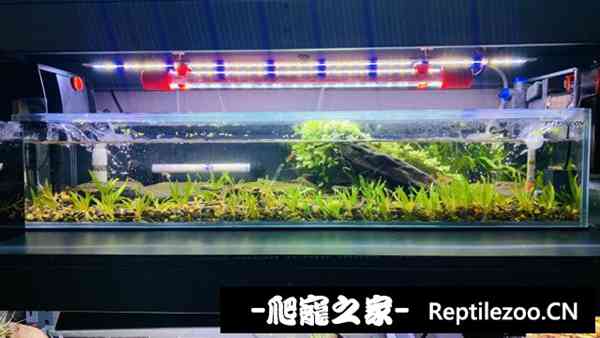 130154iczsc4yc6iwnip44.jpg