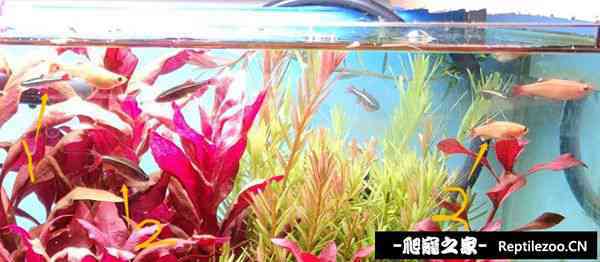 130538gi3wpp94w4v994h4.jpg