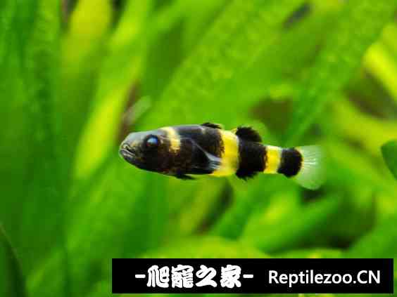 132023o353woxx9kw9k699.jpg