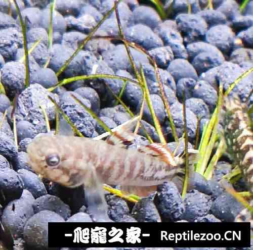 134235ldd8m1qmicp8dedc.jpg
