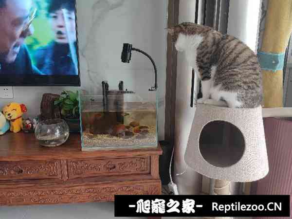 134304ty5ycb8yclx0clj7.jpg