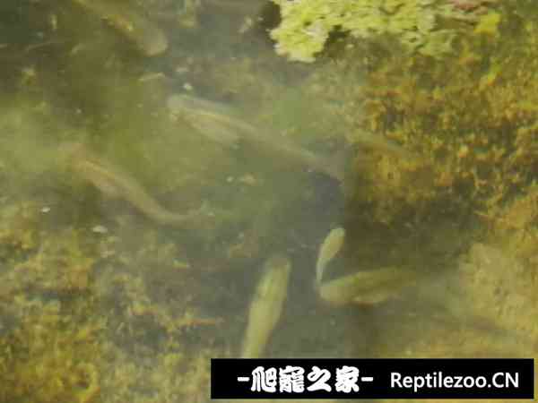 134348ozwtxmpxwlmu2hk2.jpg