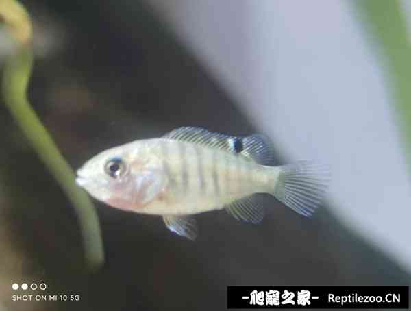 140008nnrsn0ds5h9id8hi.jpg