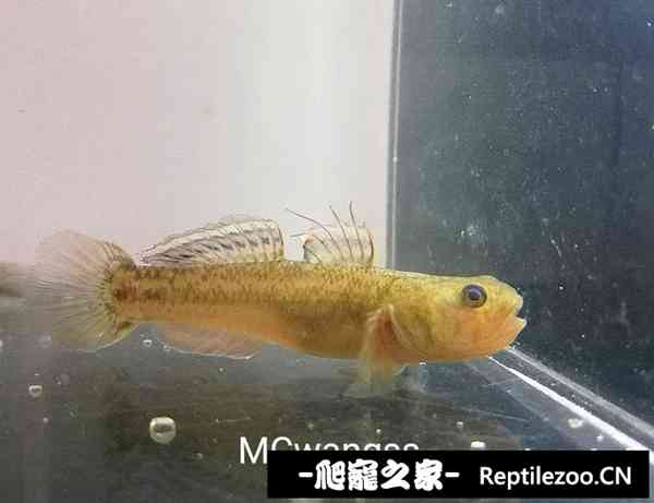 140054c6un66qznxun6kqn.jpg