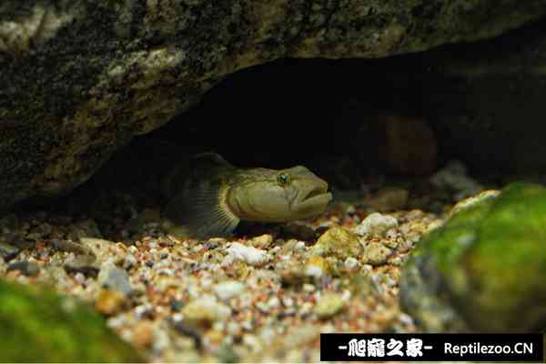 140209use1q19xxyay2w1u.jpg