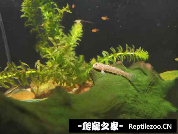 140304mubrcwp9m9iodzbo.jpg
