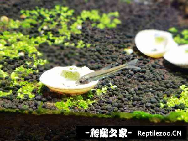 140320nmbbuewwuv56fm62.jpg