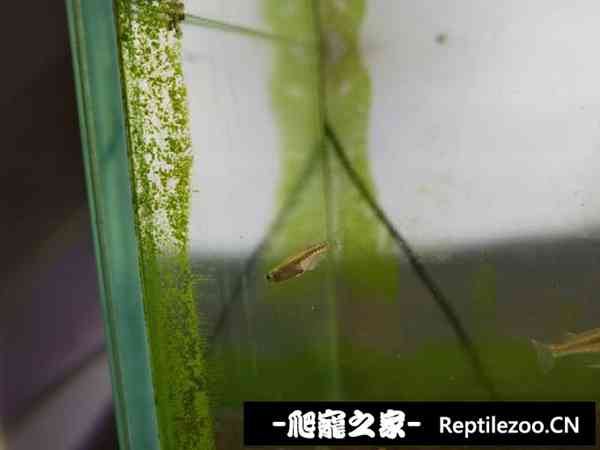 140322hcc26b9a5bucz5ic.jpg