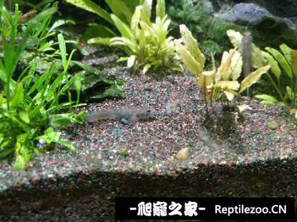 140506lisi5iephdj0e5iw.jpg