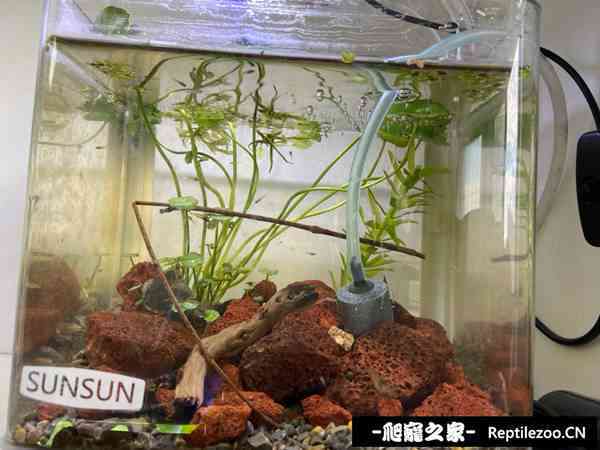 140550ukaa2ugamsuwoyax.jpg
