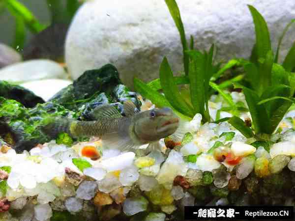 140557mz4tcyyy4zyw5m4p.jpg