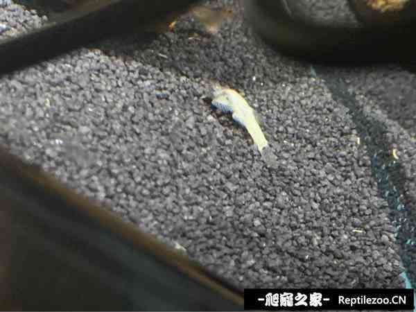 140607r0lyzqvf0gl00sat.jpg