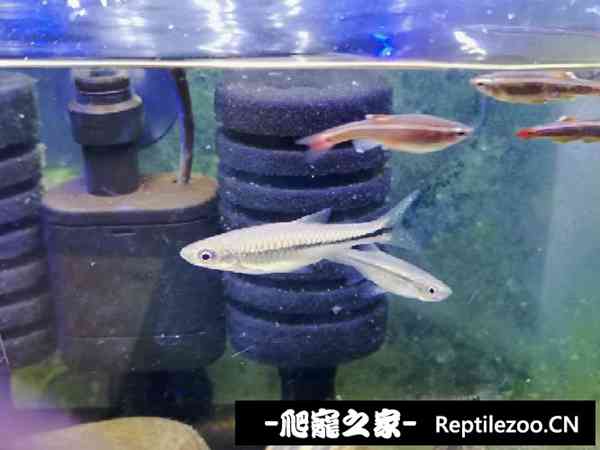 140659p0sz529cxdj7u2u9.jpg