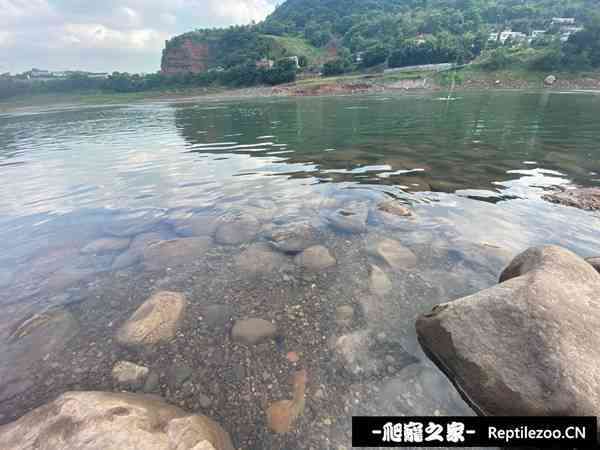 141216t1xawzn38gxcg1g1.jpg