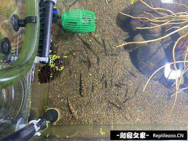 141312dls4upl9ysjel9sc.jpg