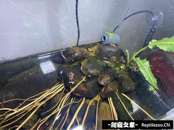 141313rmdazhu9n4hcmjsc.jpg