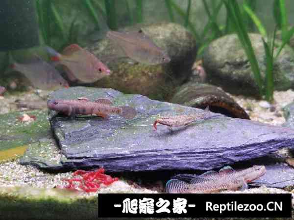 141337rj9gzg09zyr5j79y.jpg