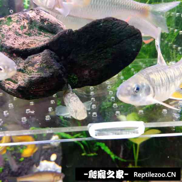 141417qmygeumydy97uud9.jpg