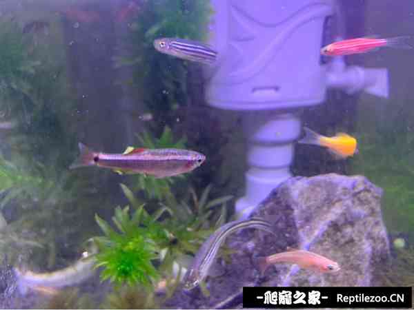 141504s9ssssvpmb6q4ahv.jpg