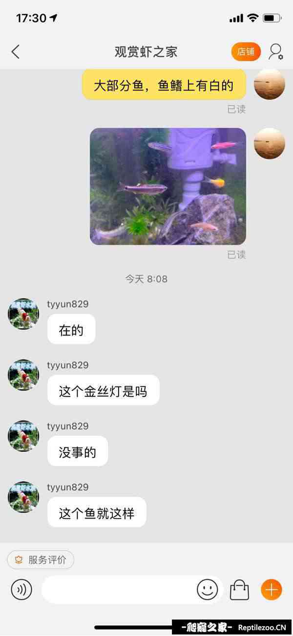 141504vqnmptfqktmqp8d9.jpg