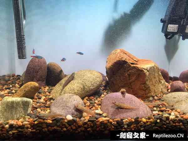141719w0nroxo3xi041i6y.jpg