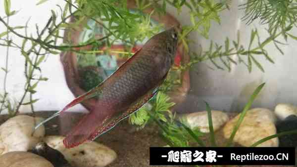 141809aoo8rlzynww8dd9m.jpg