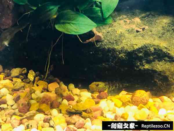 142159i1c7no3ep41nnjnb.jpg