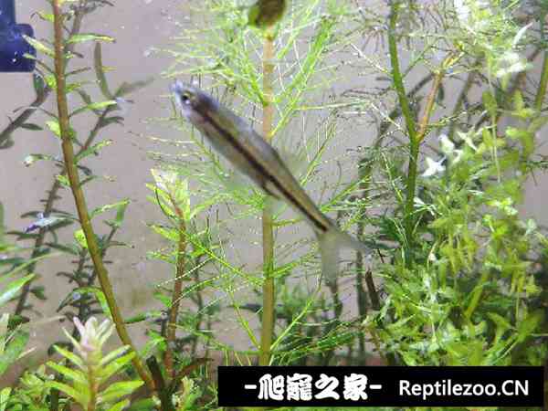 142413zjk4mp5ppdmpdjrj.jpg