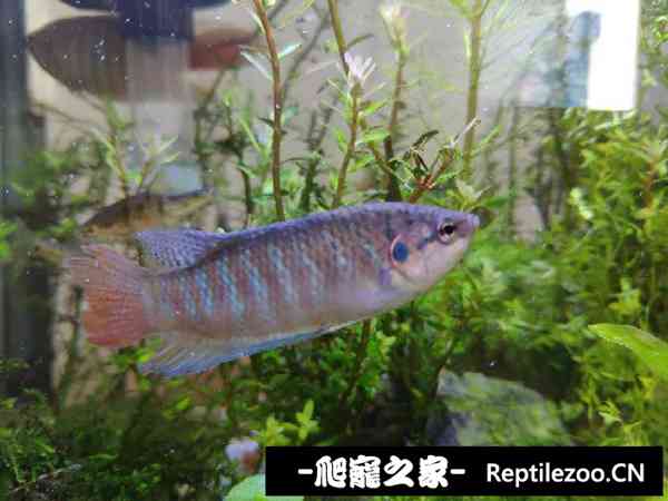 142415owg2wg62mqgcydy9.jpg