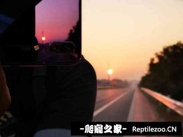 143028xakp6mkjp9y0m99a.jpg