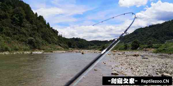 143029qnzm8dlsmwalnsab.jpg