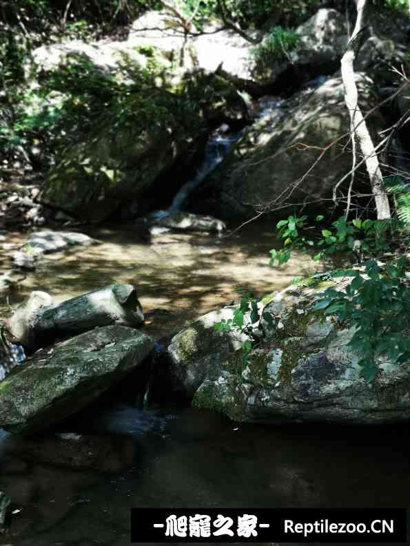 143030f3zffj7rjqfshjfs.jpg
