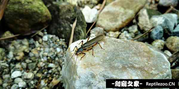 143034ouien1tun15nbltu.jpg