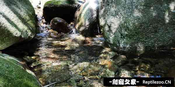 143035q5azn5j57unnk55e.jpg