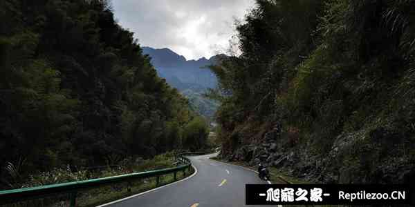143038kyby01ss2g6zsg6m.jpg