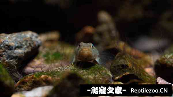 143039u65675t5ntciz1yh.jpg