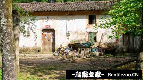 143040vr9rdrfn899899o6.jpg
