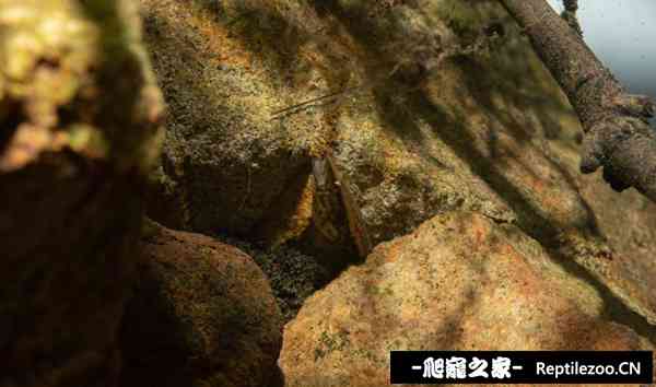 143050j40wzhywb8bklw9o.jpg