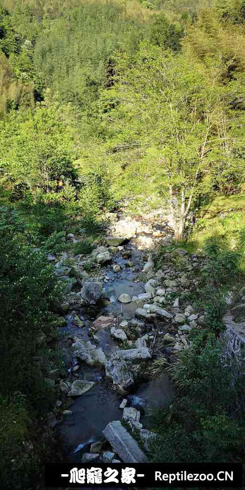 143053zjnzggo0111qj2kj.jpg