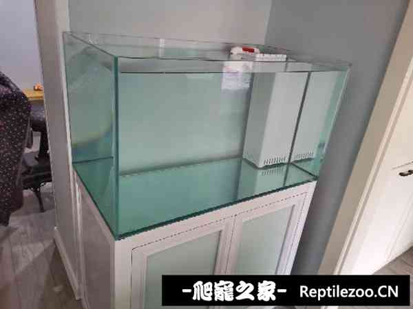 143304ch41h1h5s49s5dss.jpg